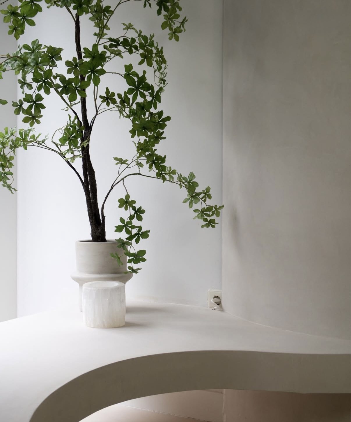 Curved plaster counter with sculptural planter